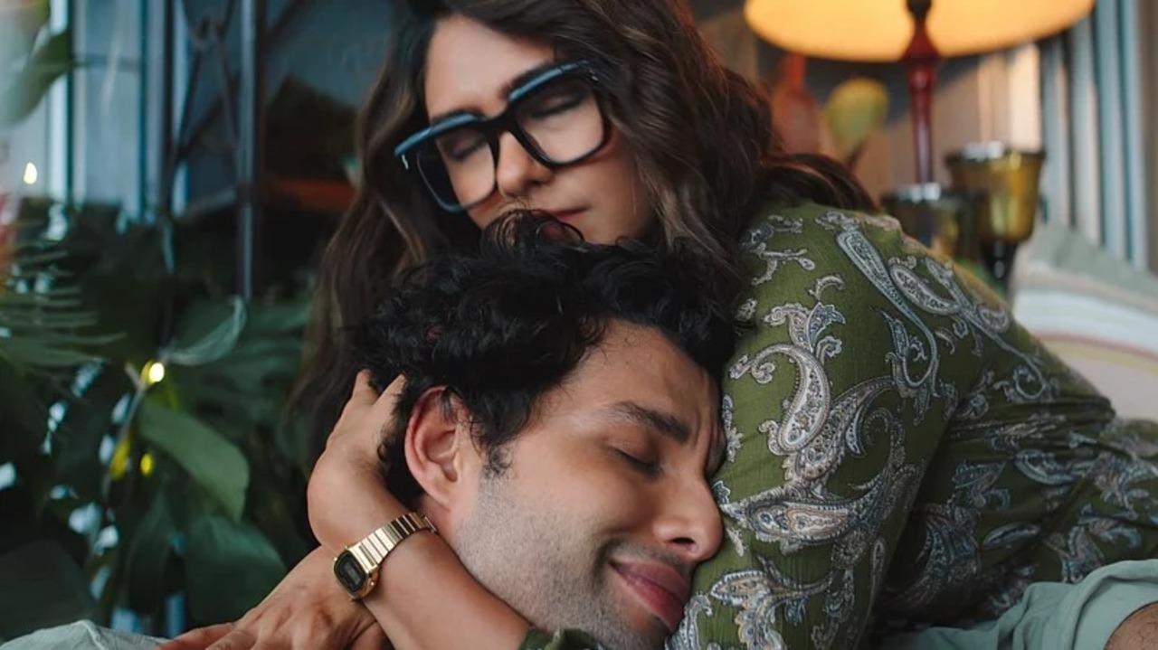 Do Deewane Seher Main (Feb 20)
 The story follows two socially awkward millennials in Mumbai: Shashank (Siddhant), who has a speech impediment, and Roshni (Mrunal), a content creator dealing with body image insecurities